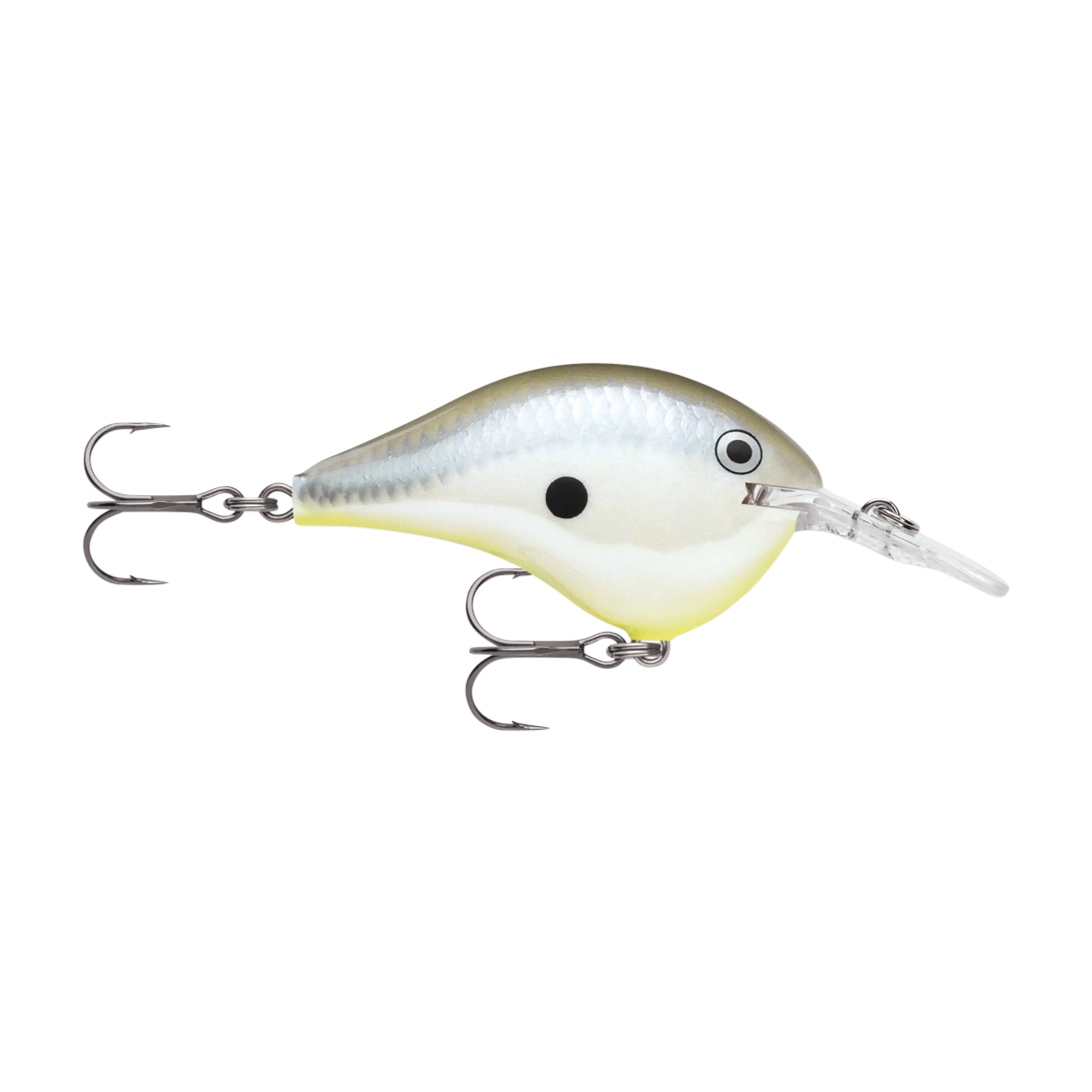Rapala DT6 Series Crankbaits