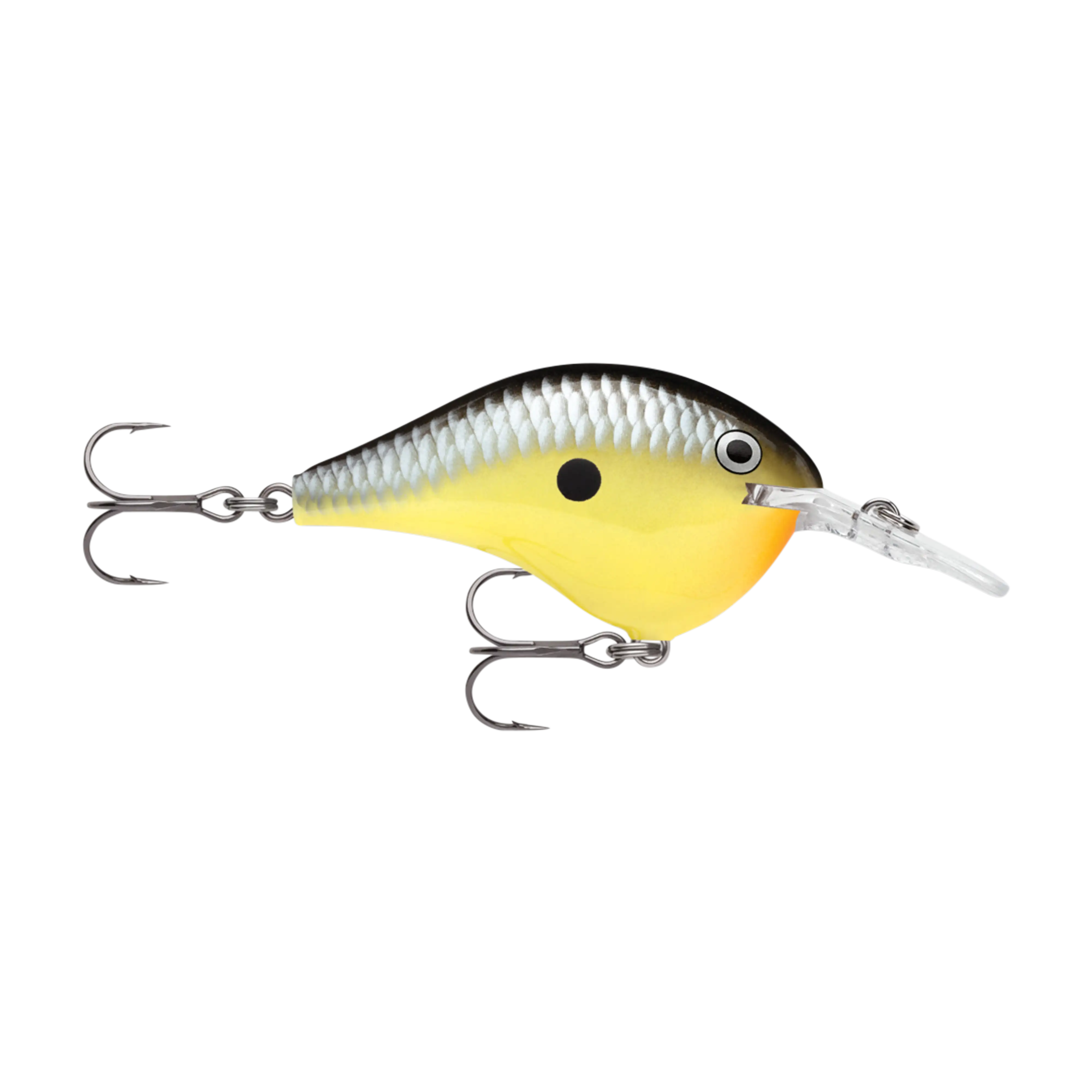 Rapala DT6 Series Crankbaits