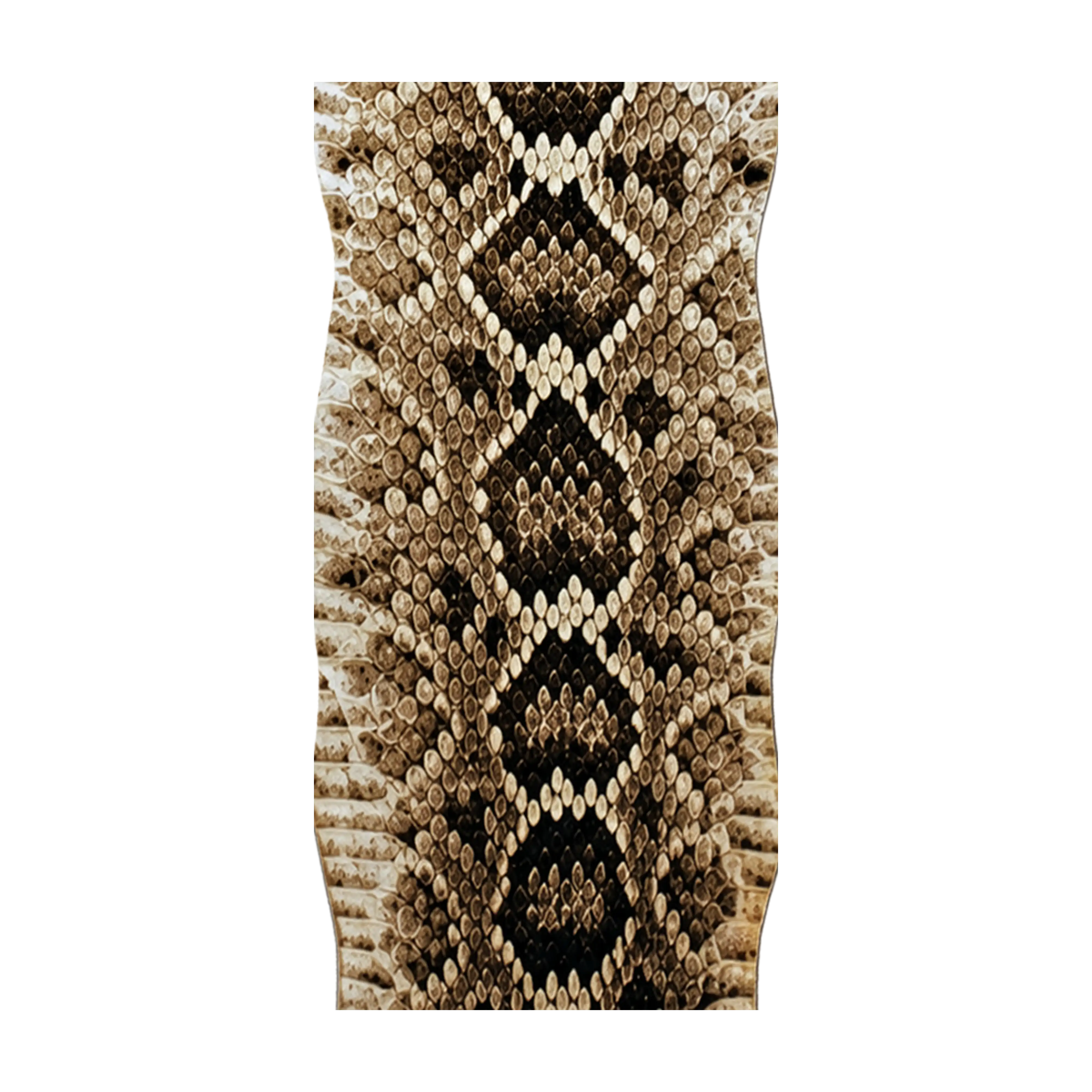 Mud Hole Snake Skins