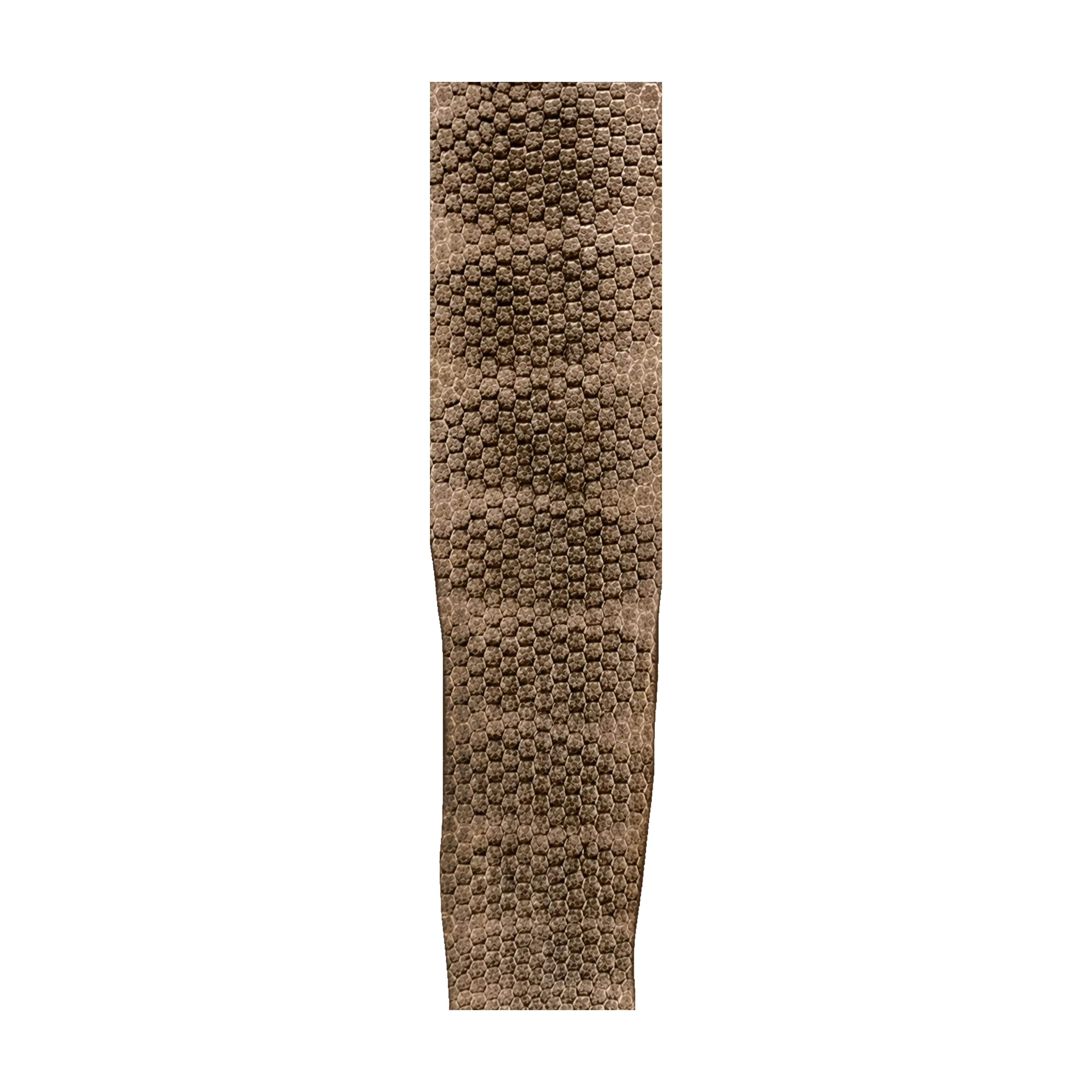 Mud Hole Snake Skins