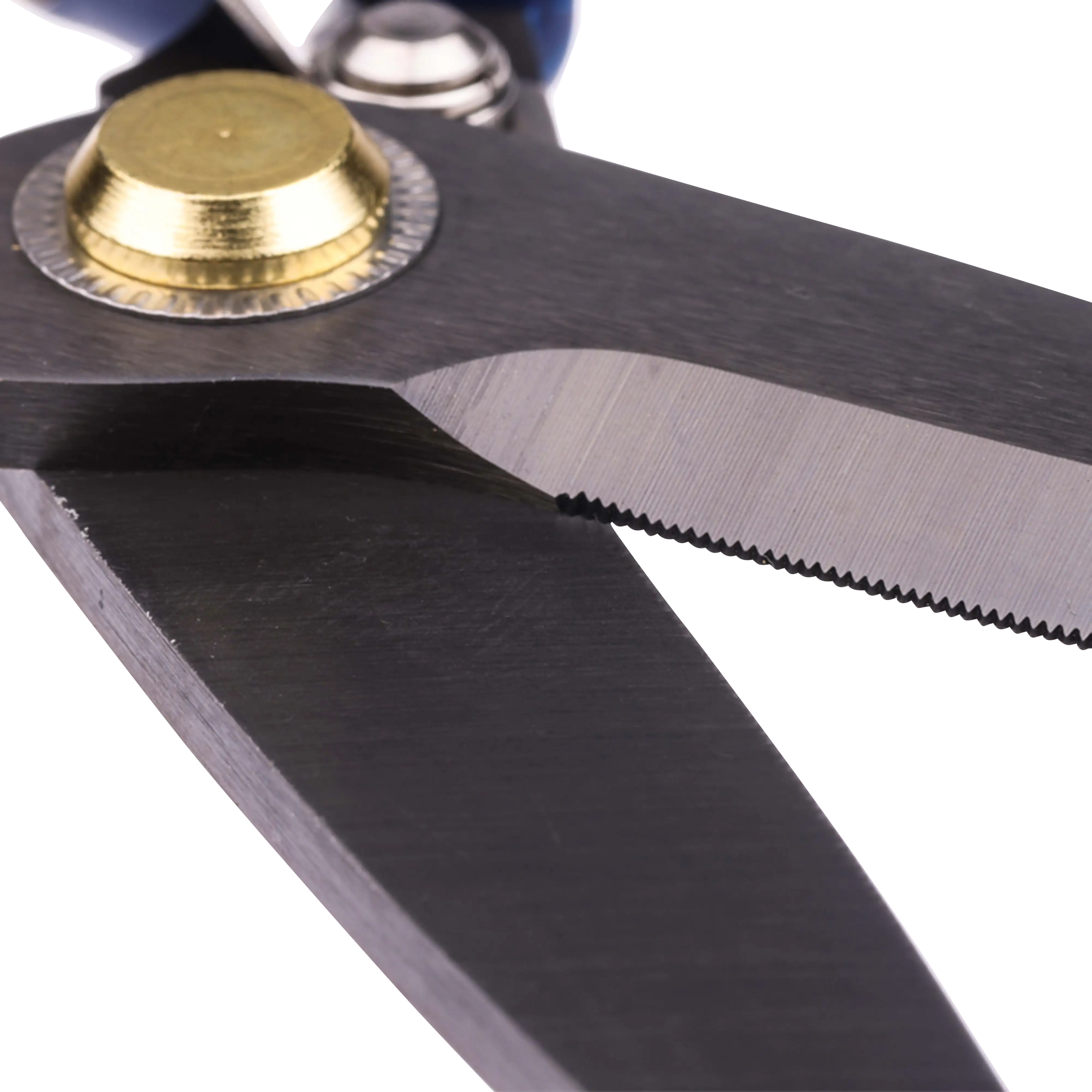 Toit Stainless Steel Scissors