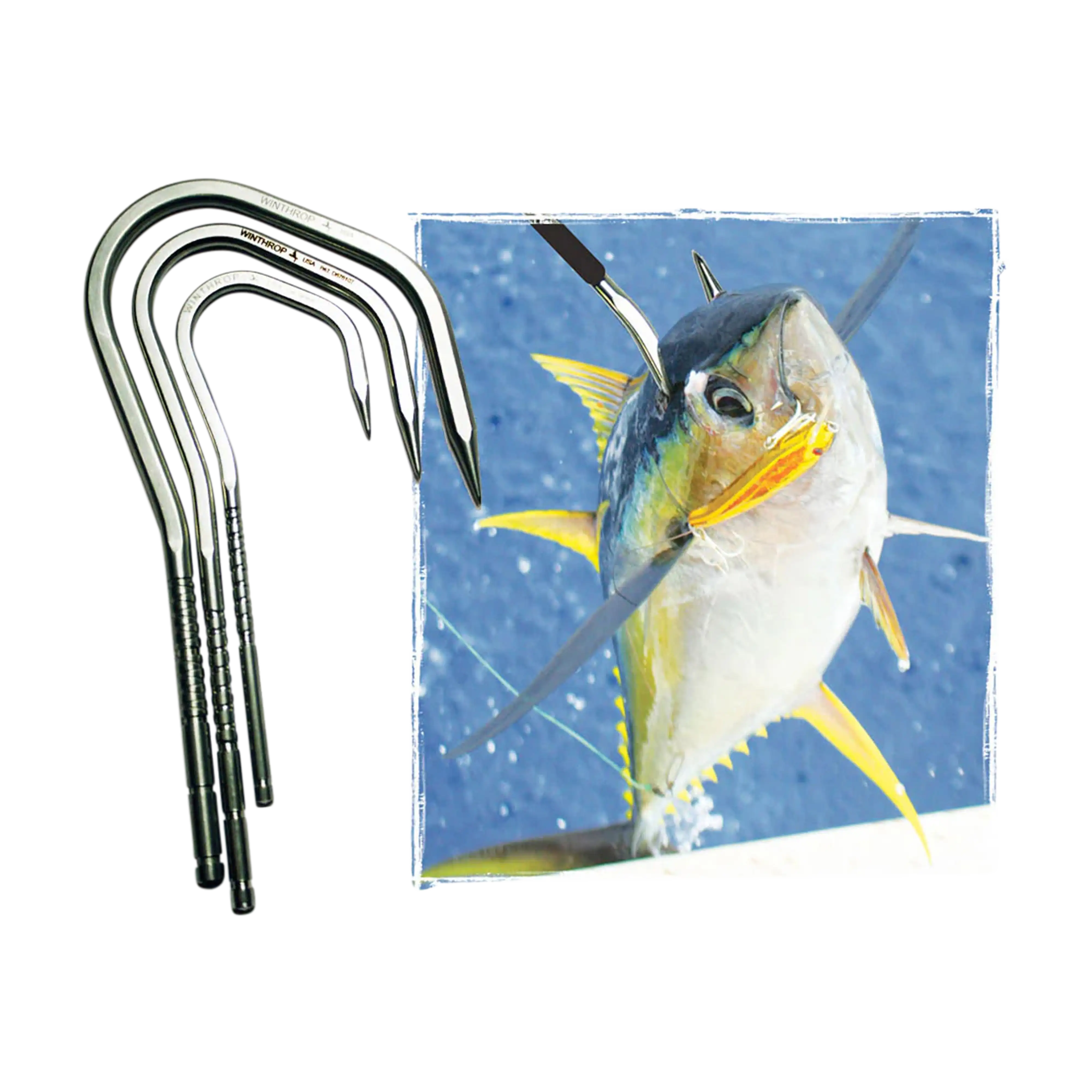 Winthrop Tackle Gaff Hooks – 2”, 3”, and 4” Sizes