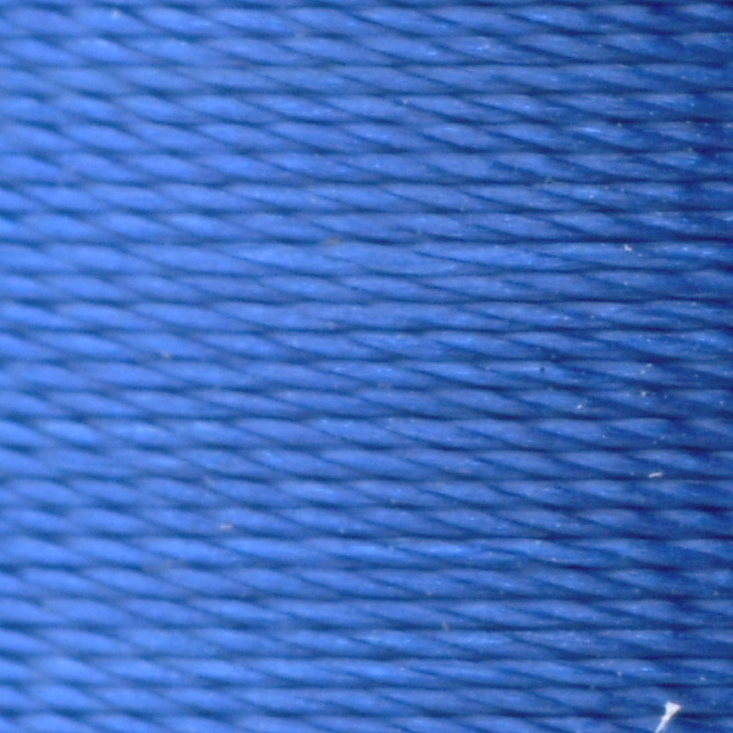 #color_449 wild blueberry