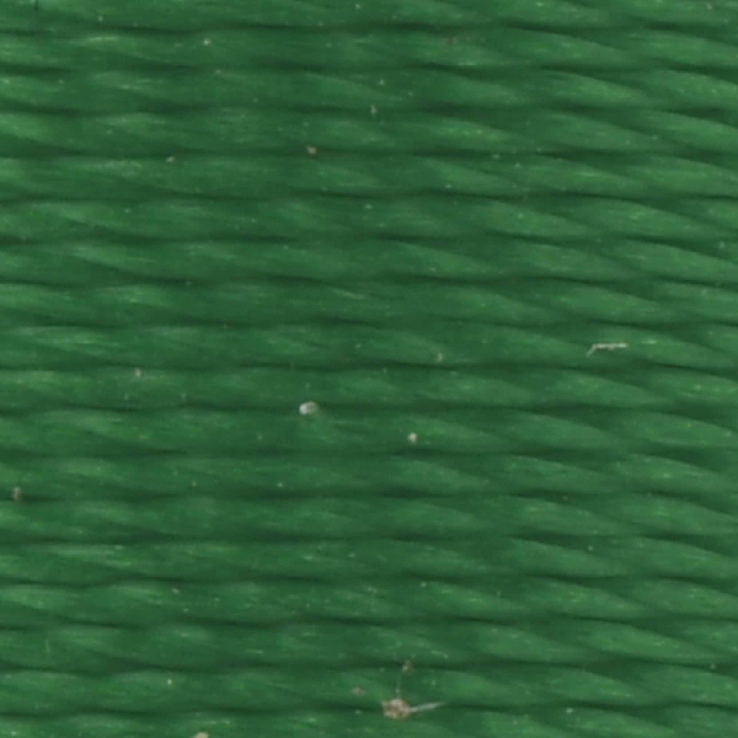 #color_519 rainforest