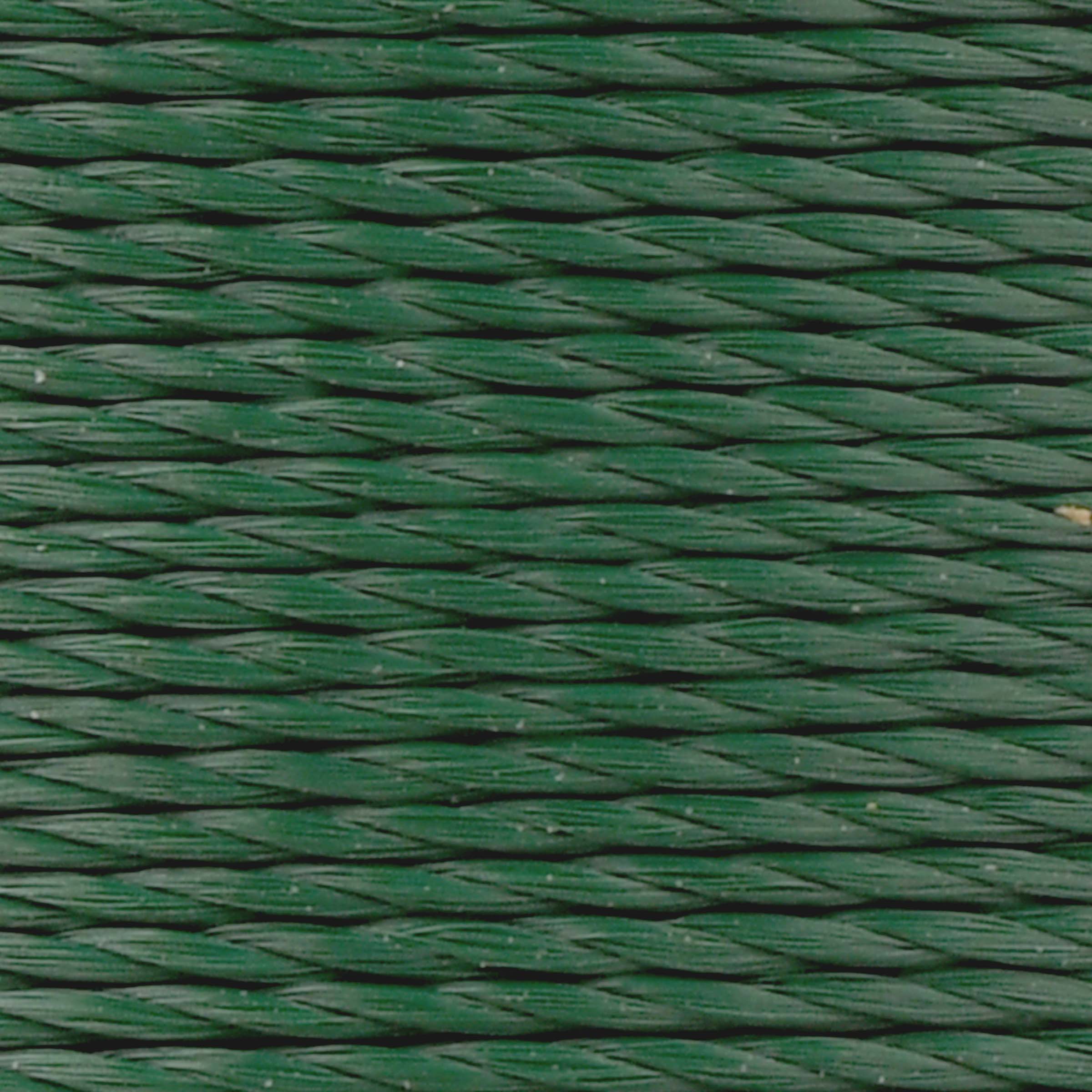 #color_543 evergreen