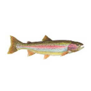 Mud Hole Game Fish Rod Decals