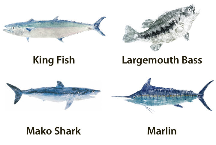 Mud Hole Japanese Gyotaku Fish Art Decals by Marshall Madruga