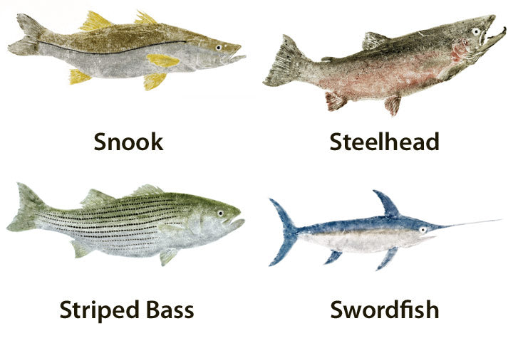 Mud Hole Japanese Gyotaku Fish Art Decals by Marshall Madruga