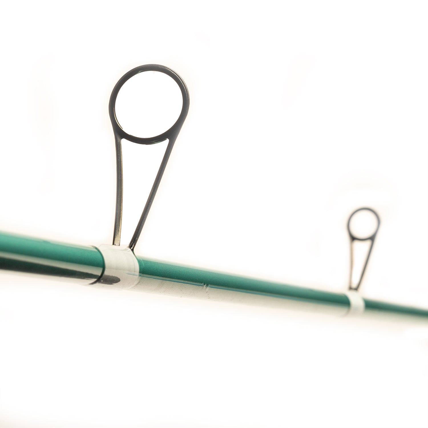 #date & location_11-01-2024 / Oviedo, FL / Bass & Inshore