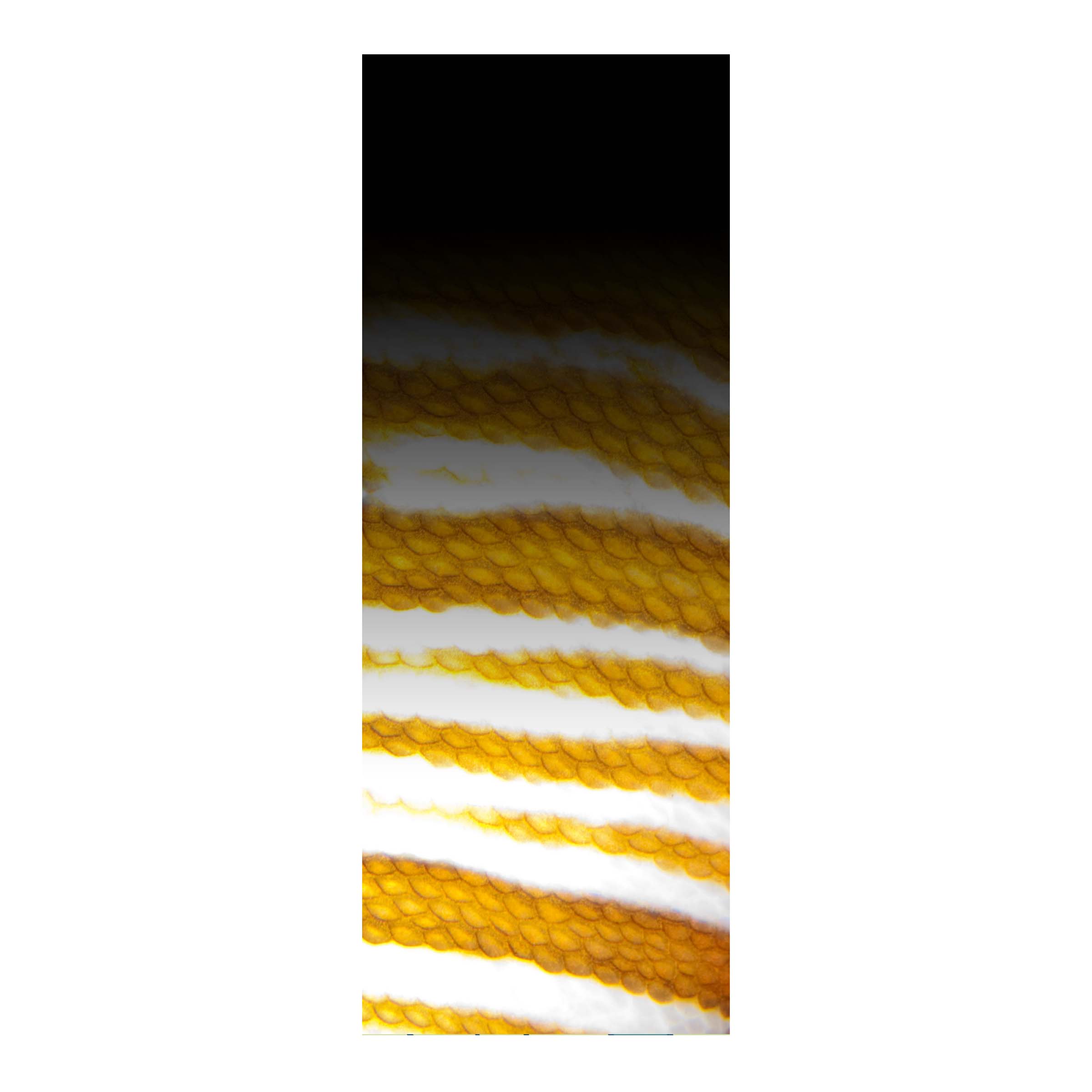 CRB Rod Skinz Decorative Rod Wraps - Fade to Black