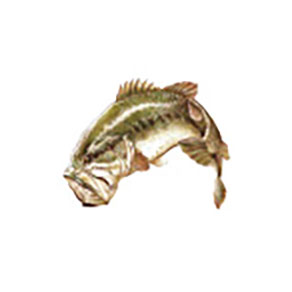 Mud Hole Game Fish Rod Decals