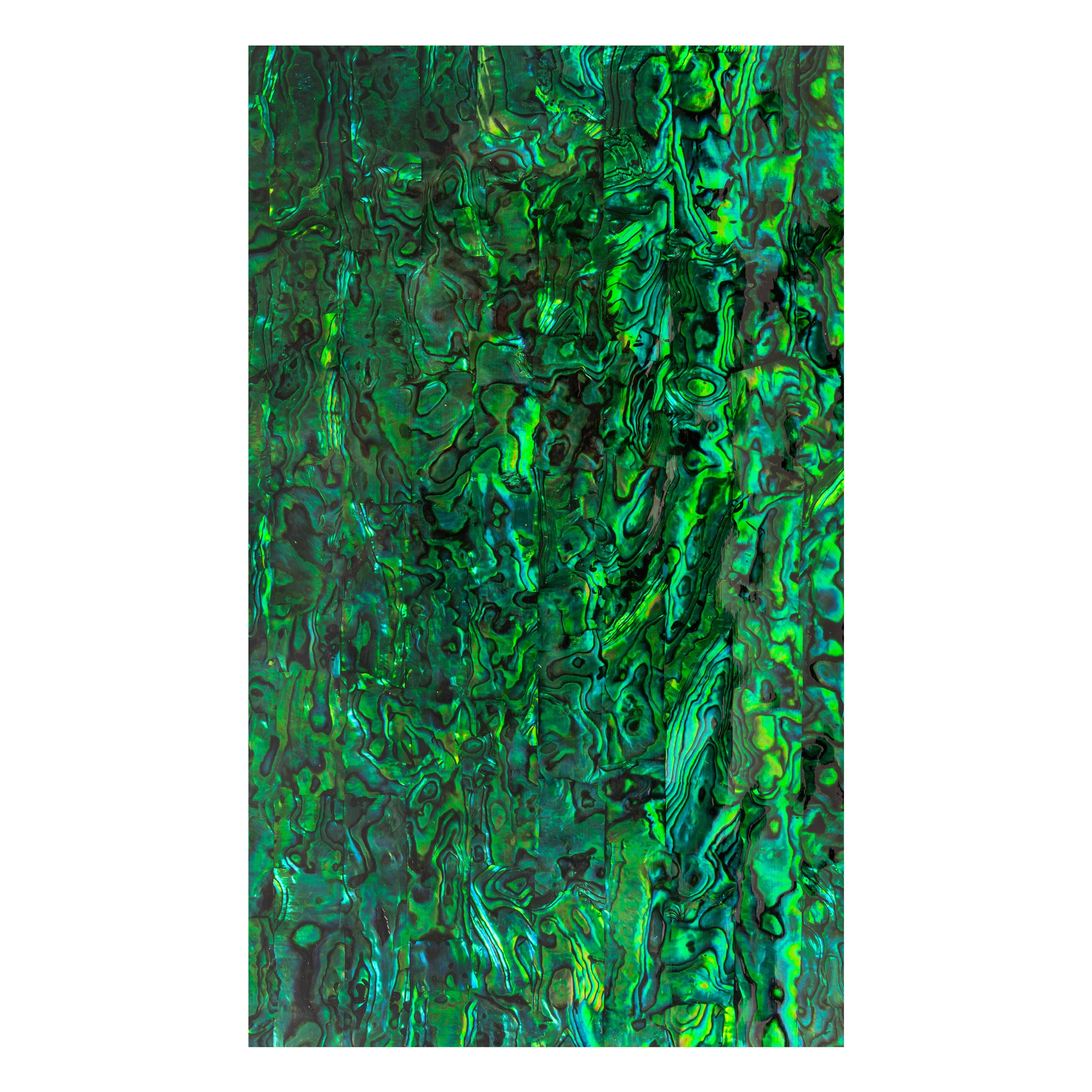 #color_green paua