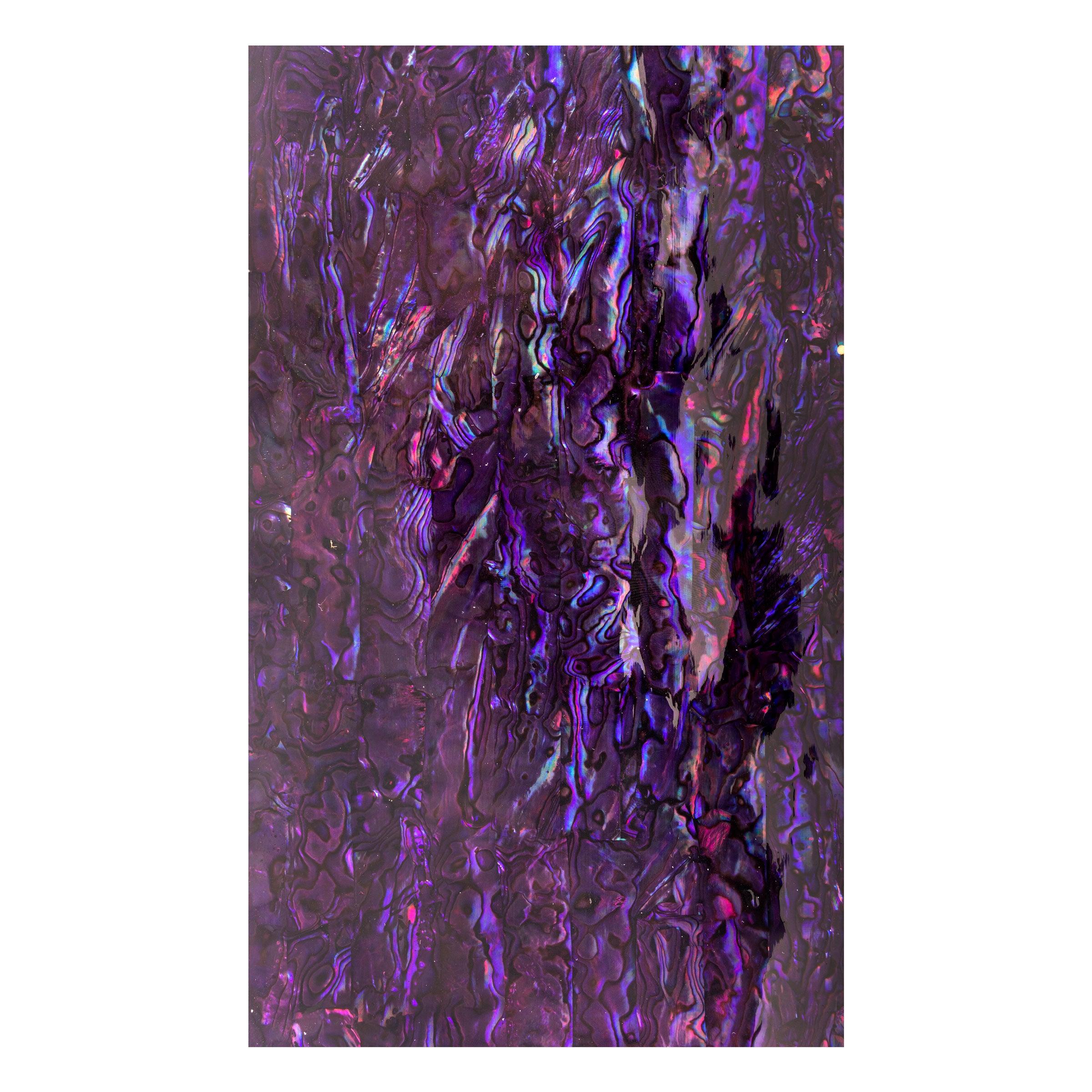 #color_purple paua