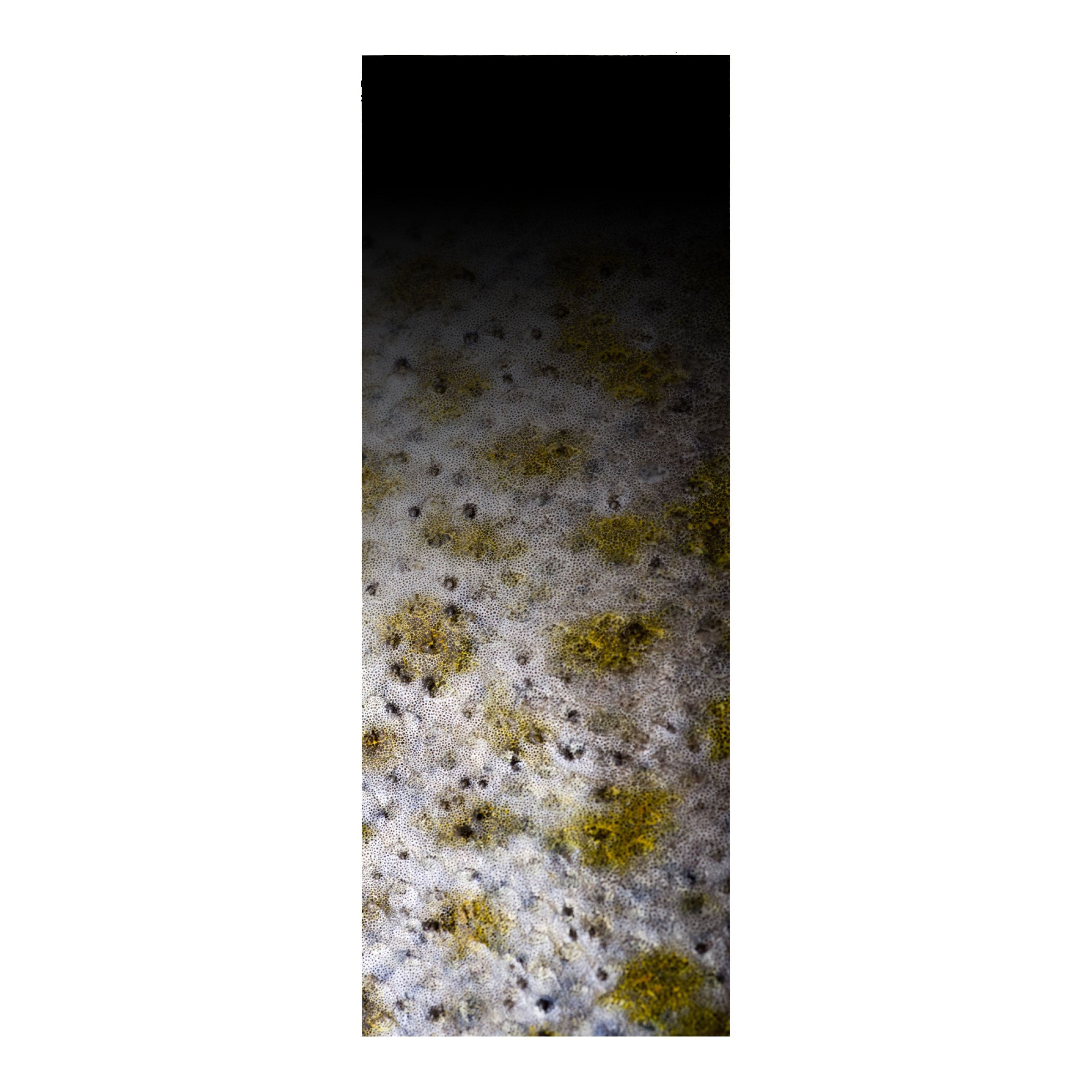 CRB Rod Skinz Decorative Rod Wraps - Fade to Black