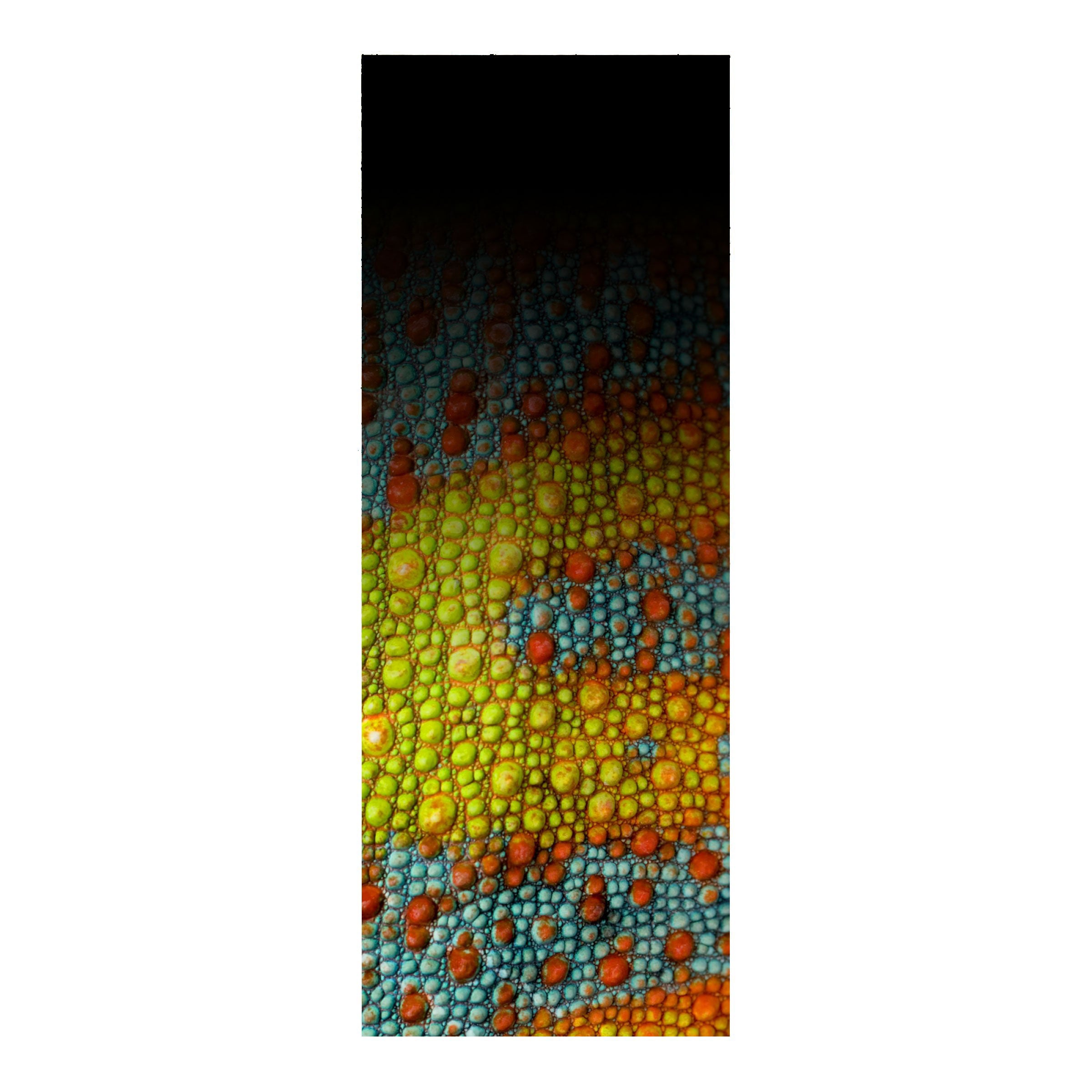 CRB Rod Skinz Decorative Rod Wraps - Fade to Black