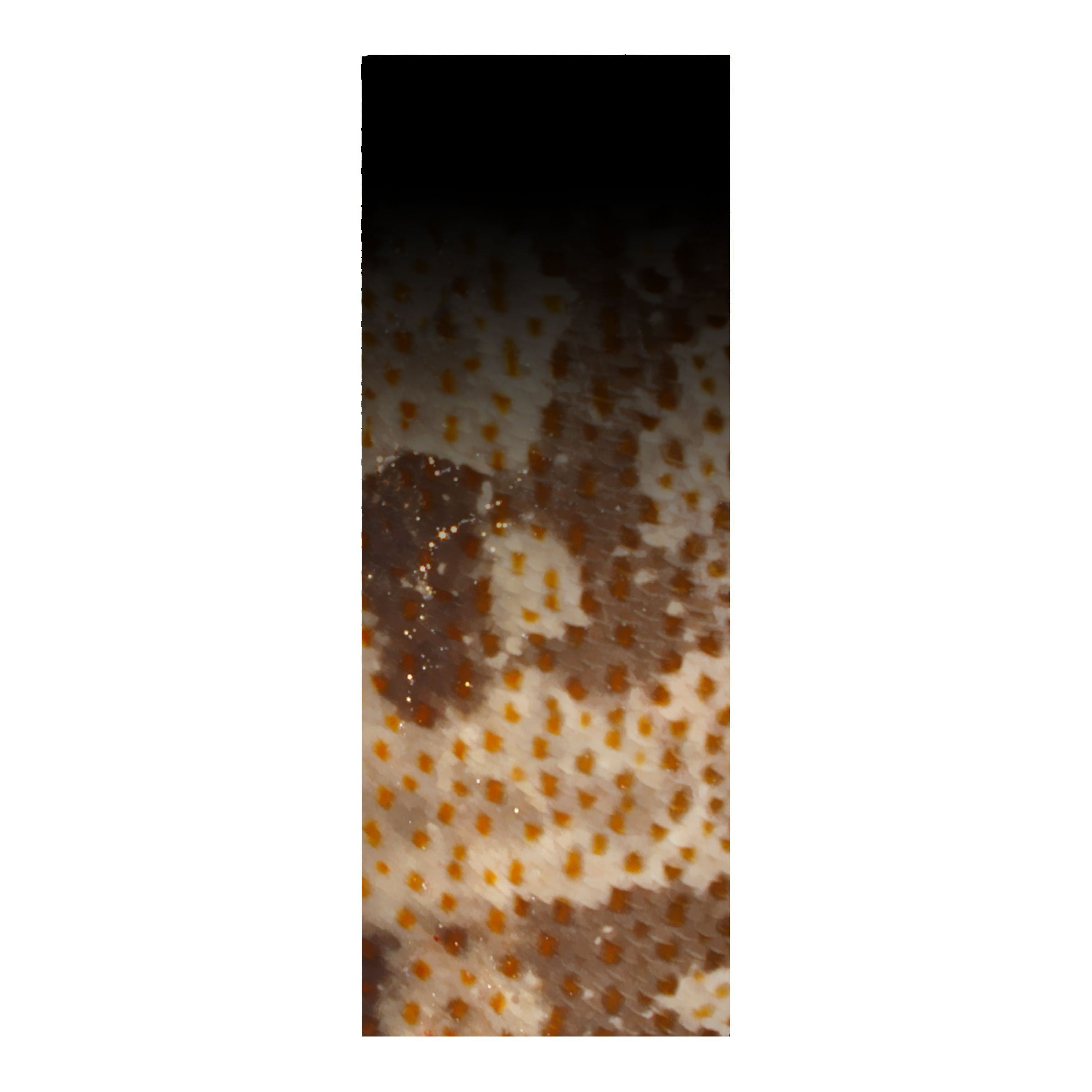 CRB Rod Skinz Decorative Rod Wraps - Fade to Black