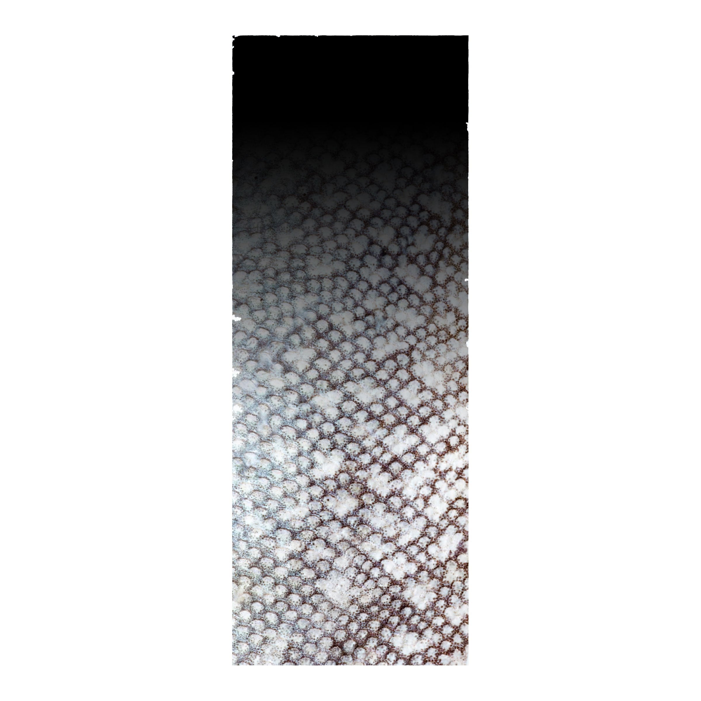 CRB Rod Skinz Decorative Rod Wraps - Fade to Black