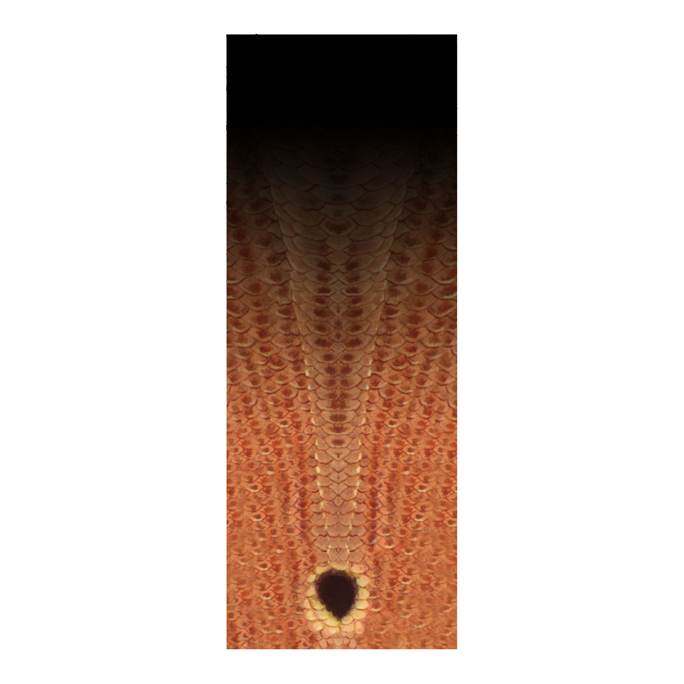 CRB Rod Skinz Decorative Rod Wraps - Fade to Black