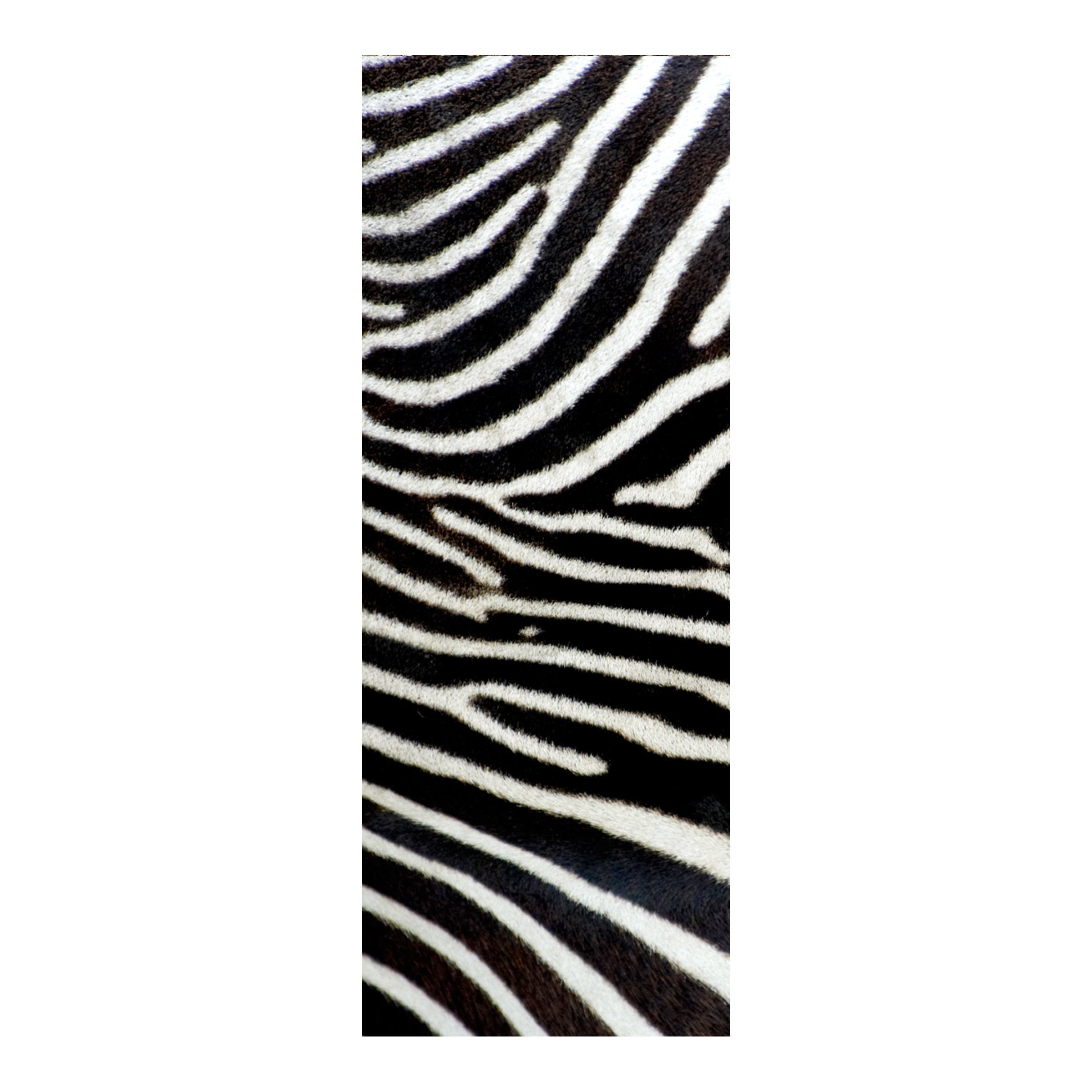 #design_zebra