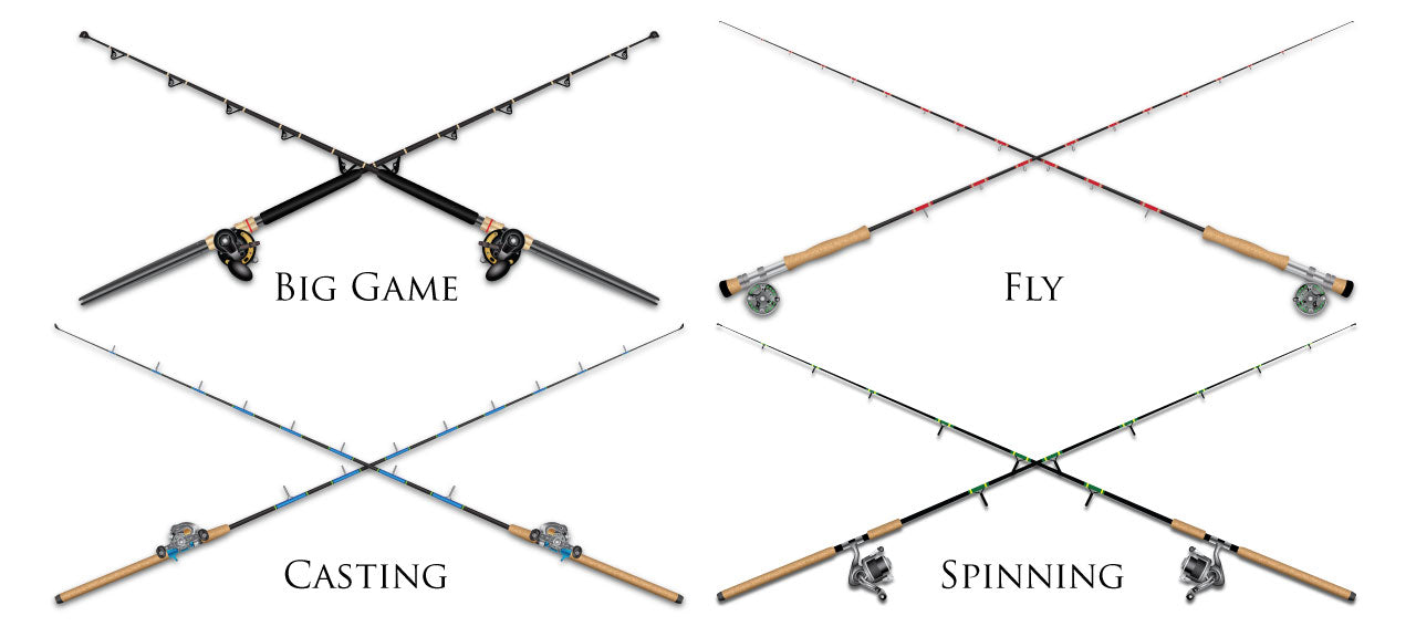 Women's Custom T-Shirt: Assorted Saltwater Gamefish