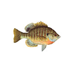 Mud Hole Game Fish Rod Decals