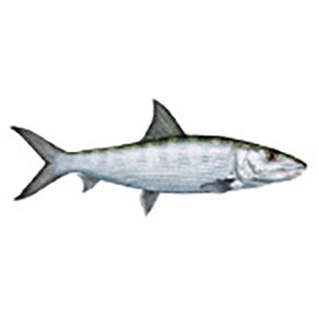 Mud Hole Game Fish Rod Decals