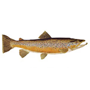 Mud Hole Game Fish Rod Decals