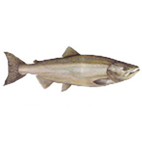 Mud Hole Game Fish Rod Decals