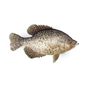 Mud Hole Game Fish Rod Decals