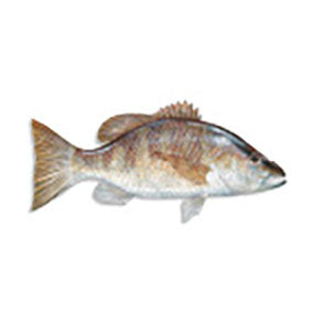 Mud Hole Game Fish Rod Decals