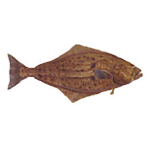 Gamefish Rod Decals
