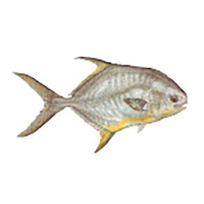 Mud Hole Game Fish Rod Decals