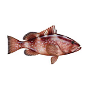 Mud Hole Game Fish Rod Decals