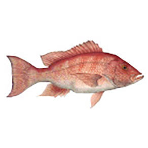 Mud Hole Game Fish Rod Decals