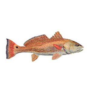 Mud Hole Game Fish Rod Decals