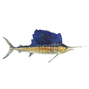 Mud Hole Game Fish Rod Decals