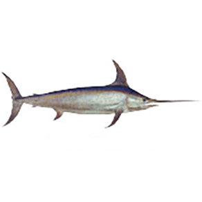 Mud Hole Game Fish Rod Decals