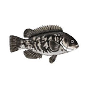 Mud Hole Game Fish Rod Decals