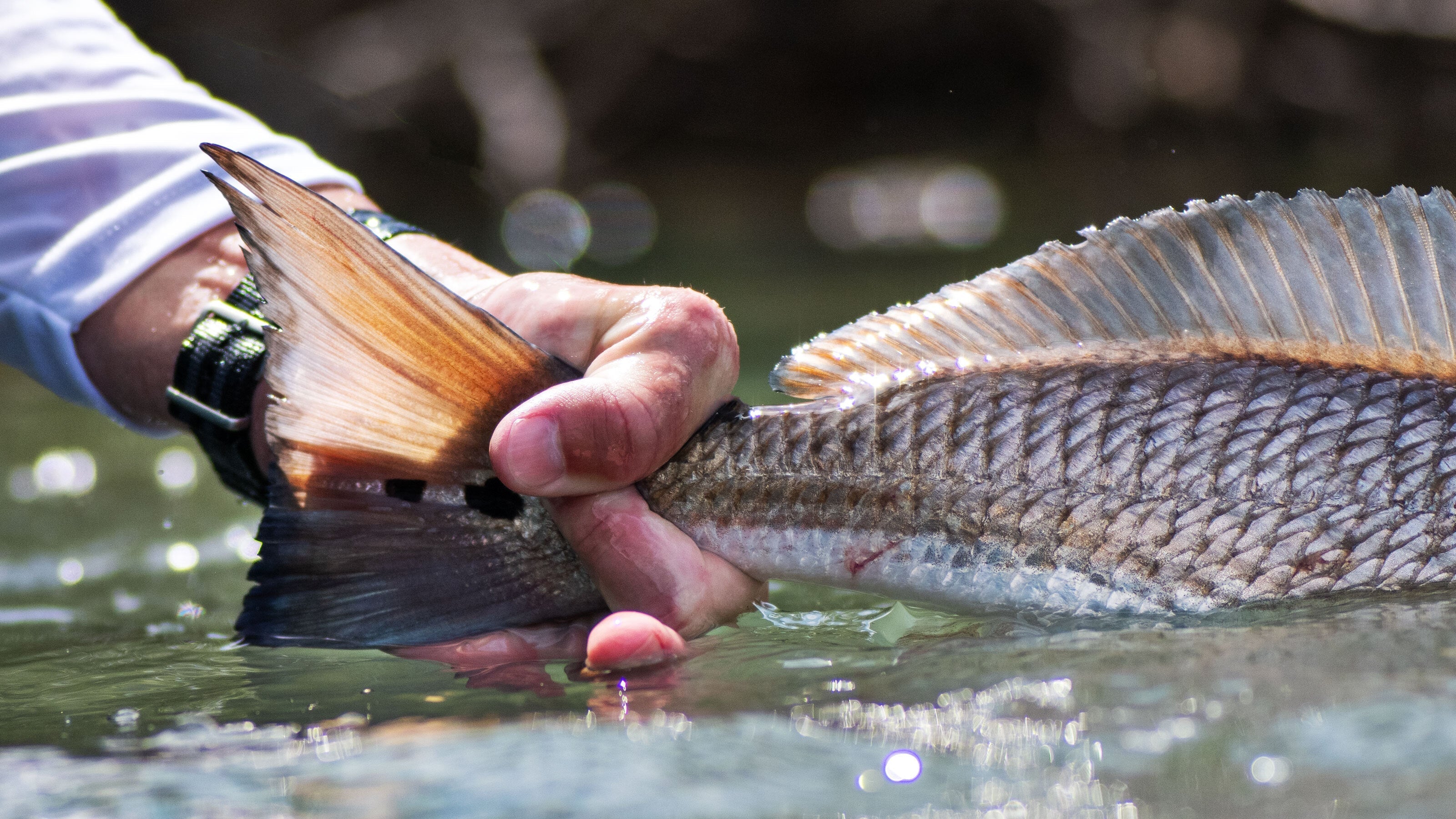 Getting Rigged for Fishing the Backcountry