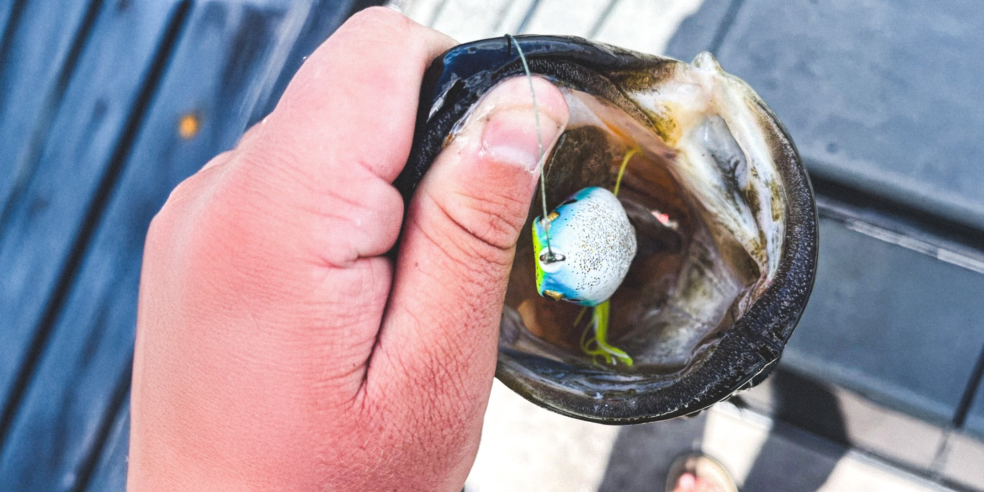 Frog-Styled Fishing Lures - Hollow Body & Toad Baits for Topwater