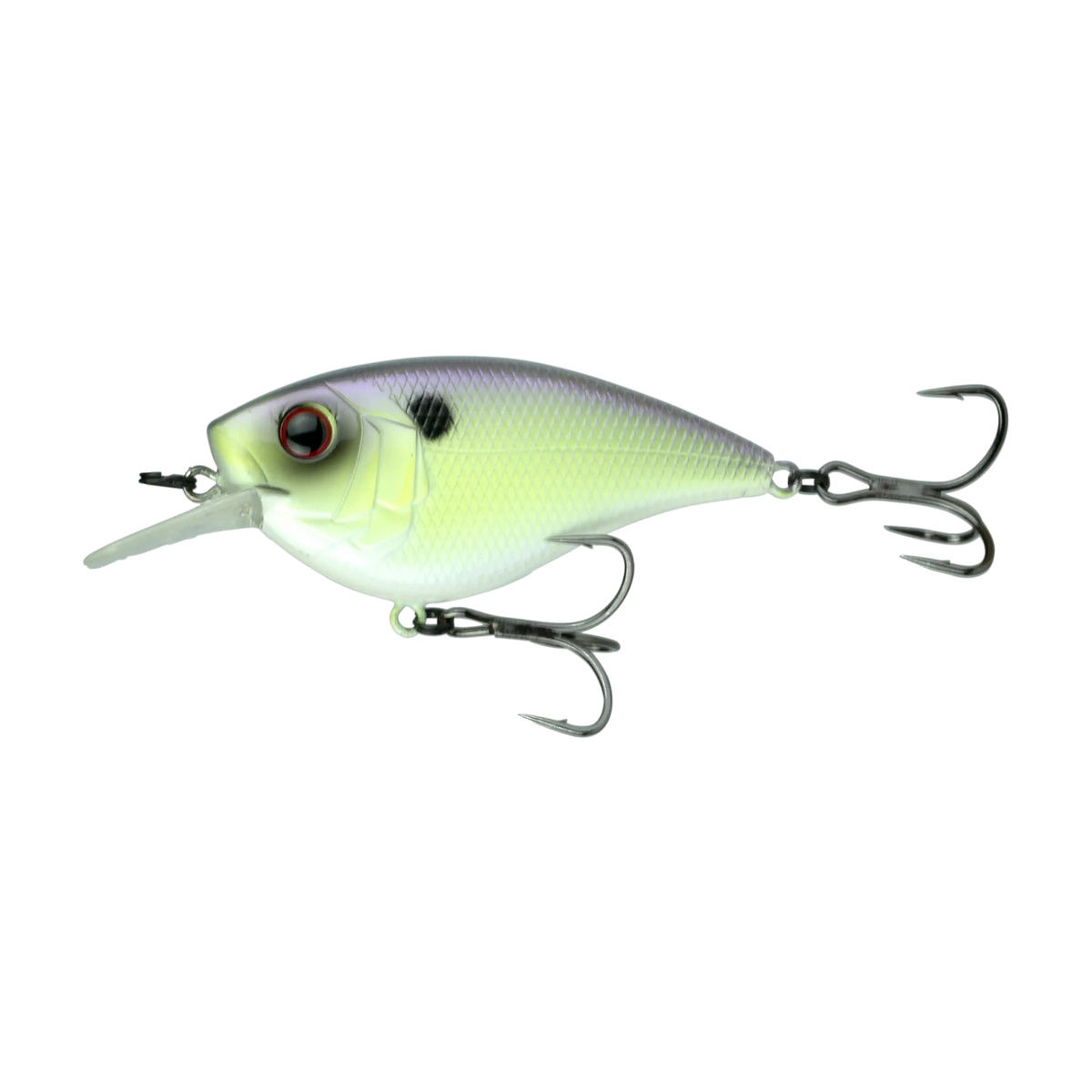 6th-sense-crush-flat-75x-jaint