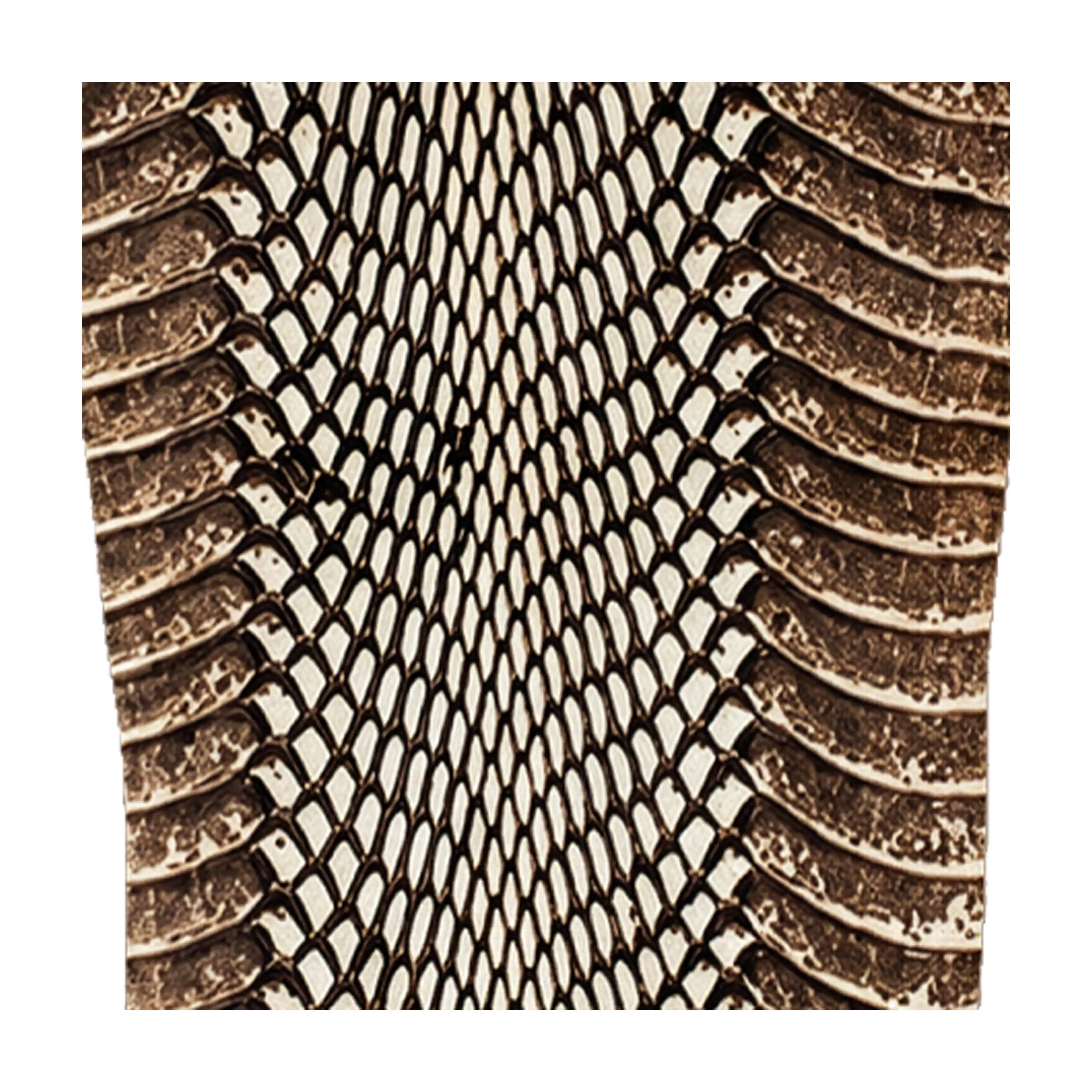 Mud Hole Snake Skins