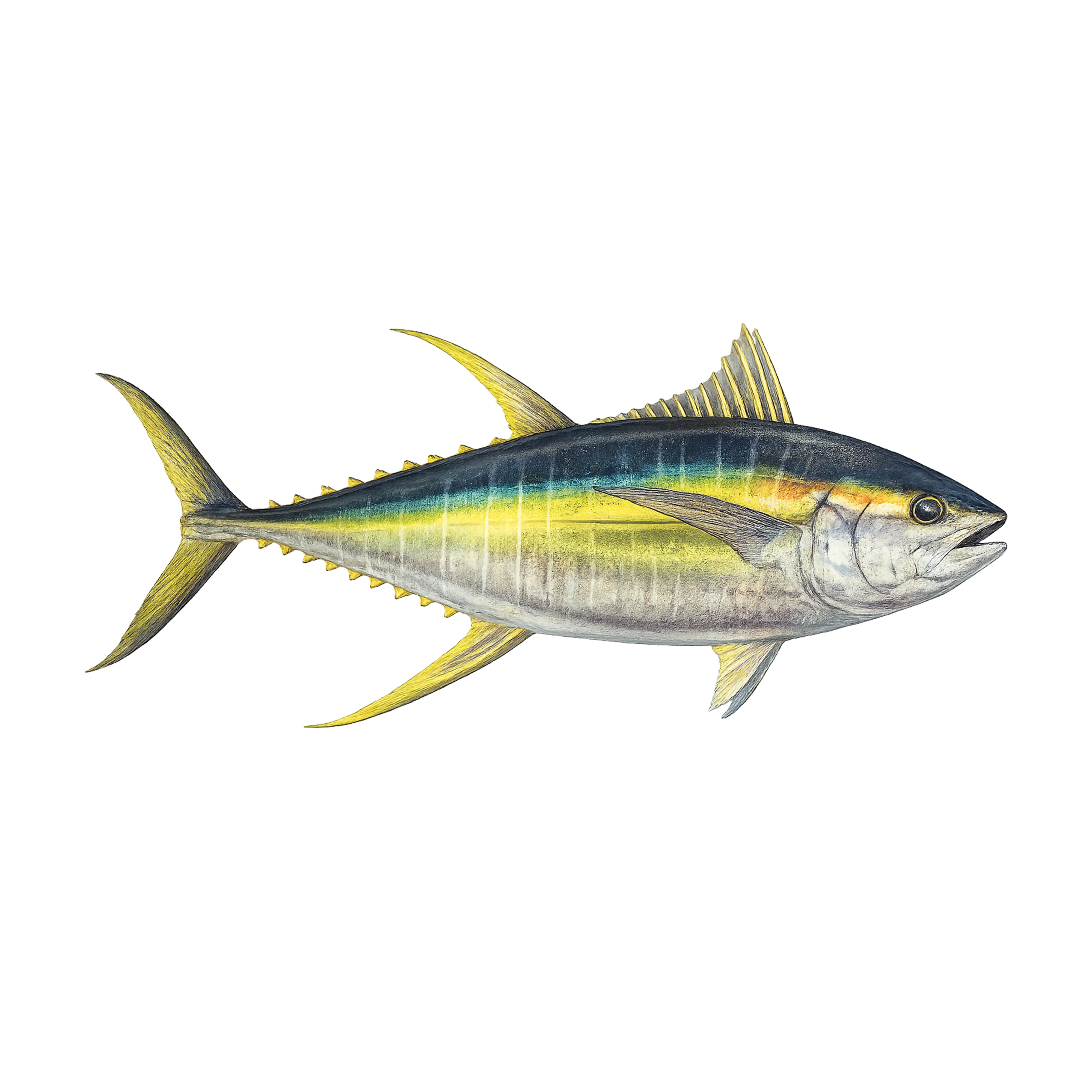 Mud Hole Game Fish Rod Decals