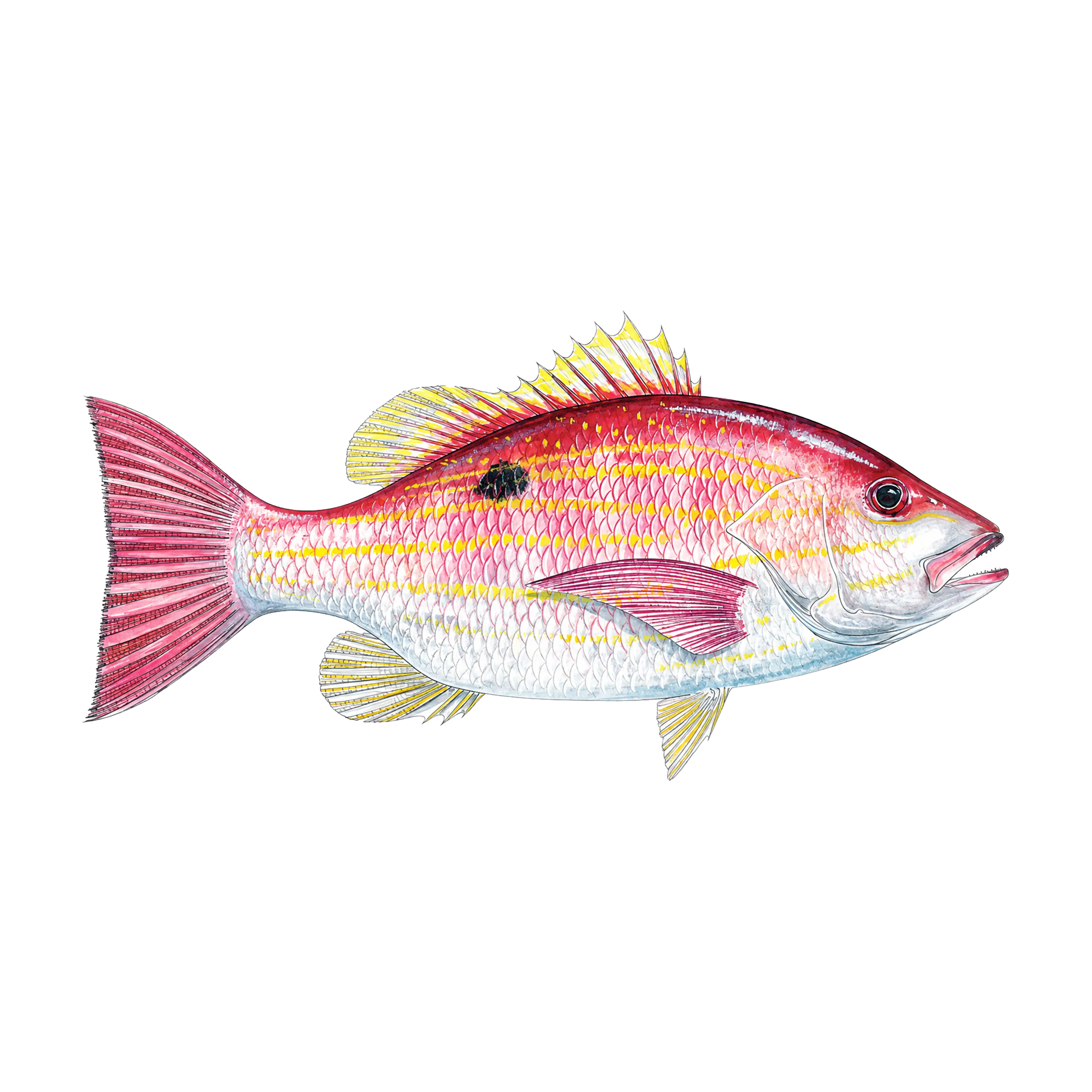 Mud Hole Game Fish Rod Decals