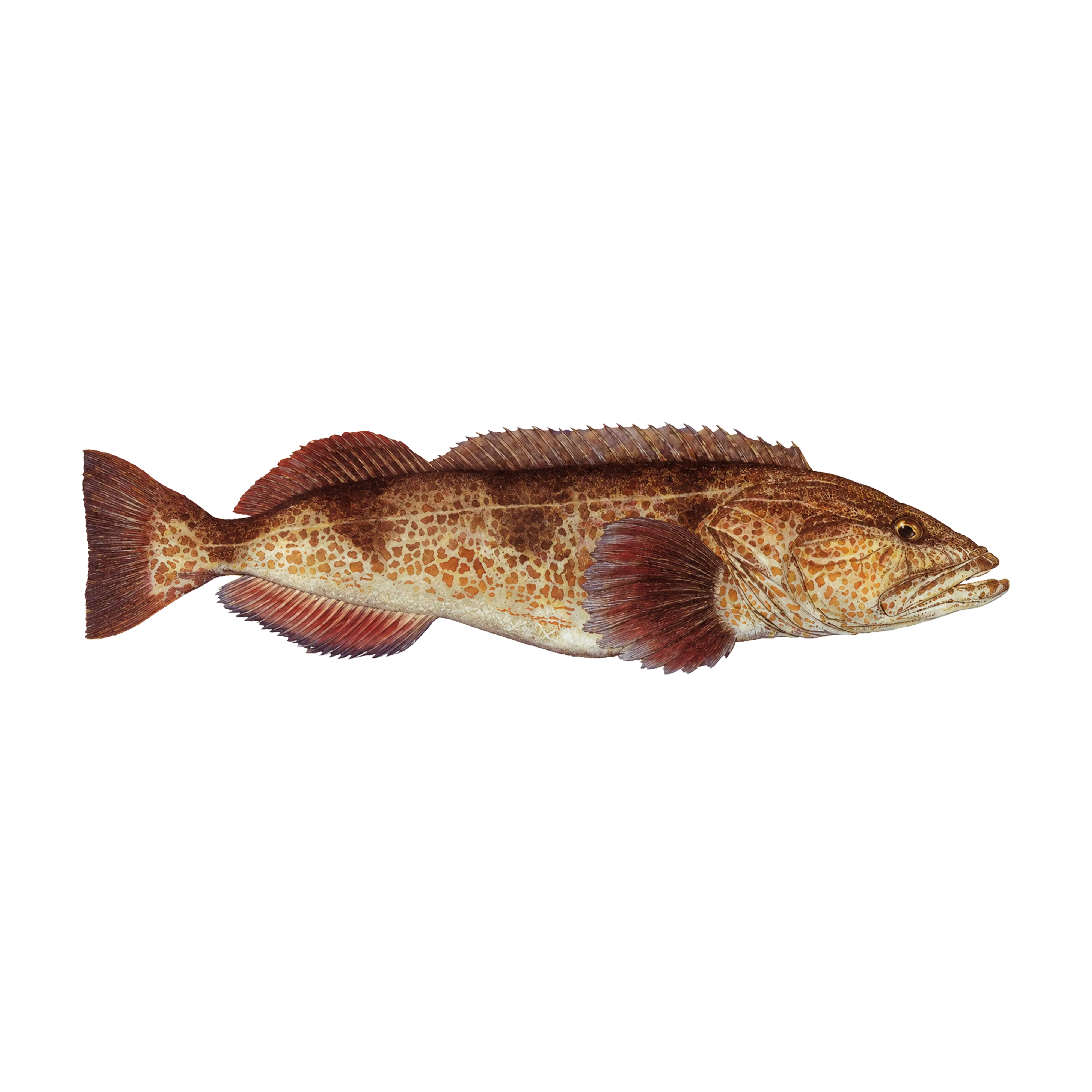 Mud Hole Game Fish Rod Decals