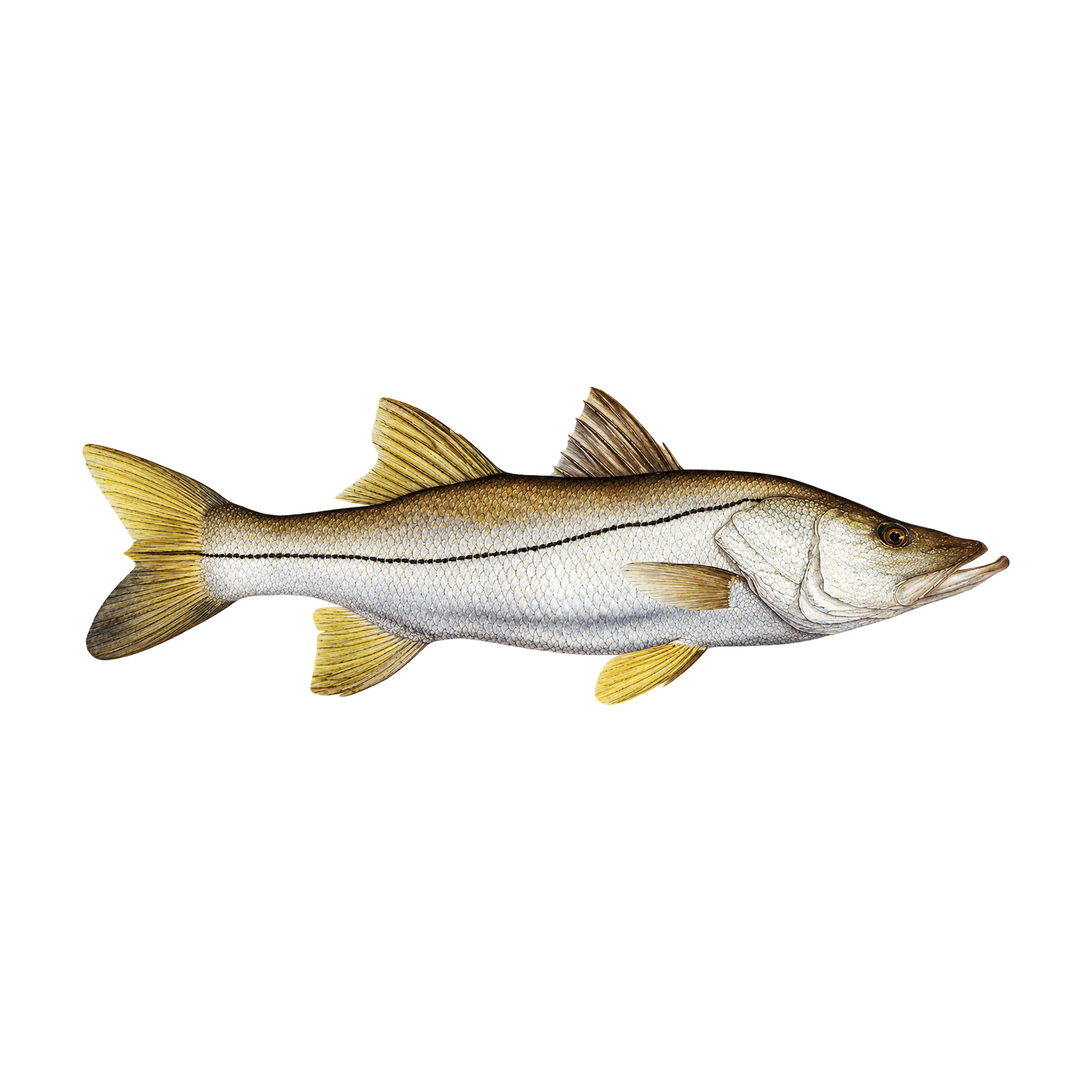 Mud Hole Game Fish Rod Decals
