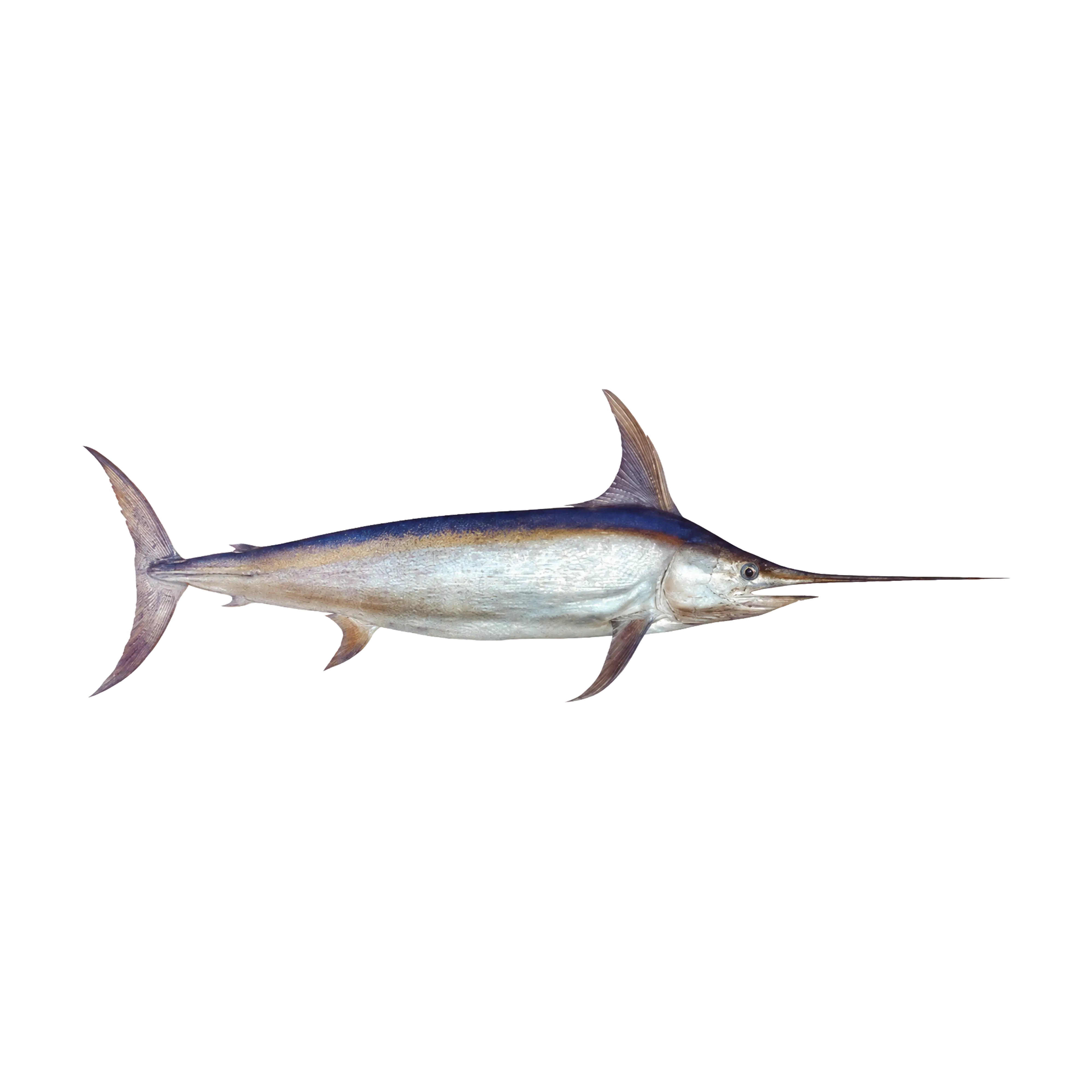 Mud Hole Game Fish Rod Decals