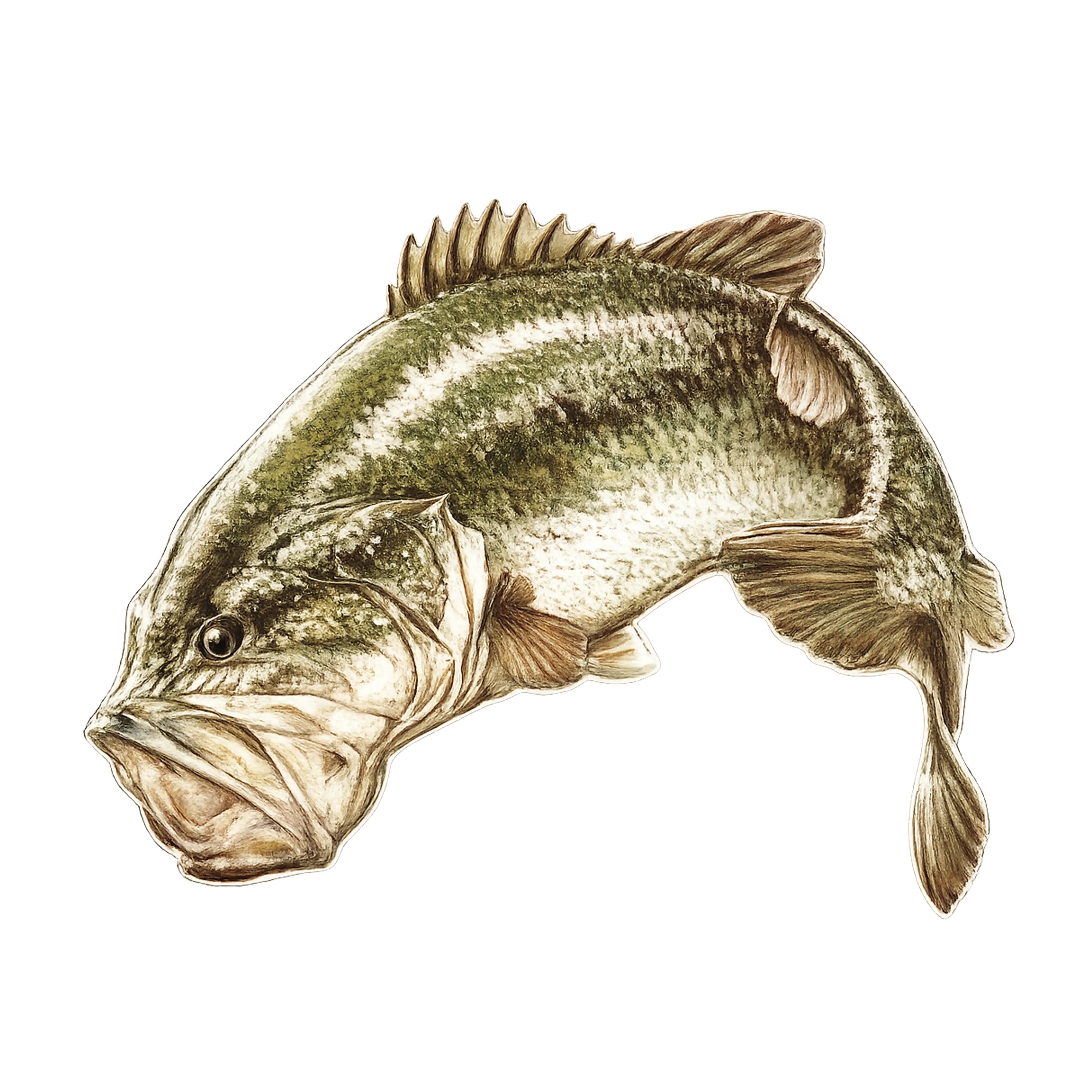 Mud Hole Game Fish Rod Decals