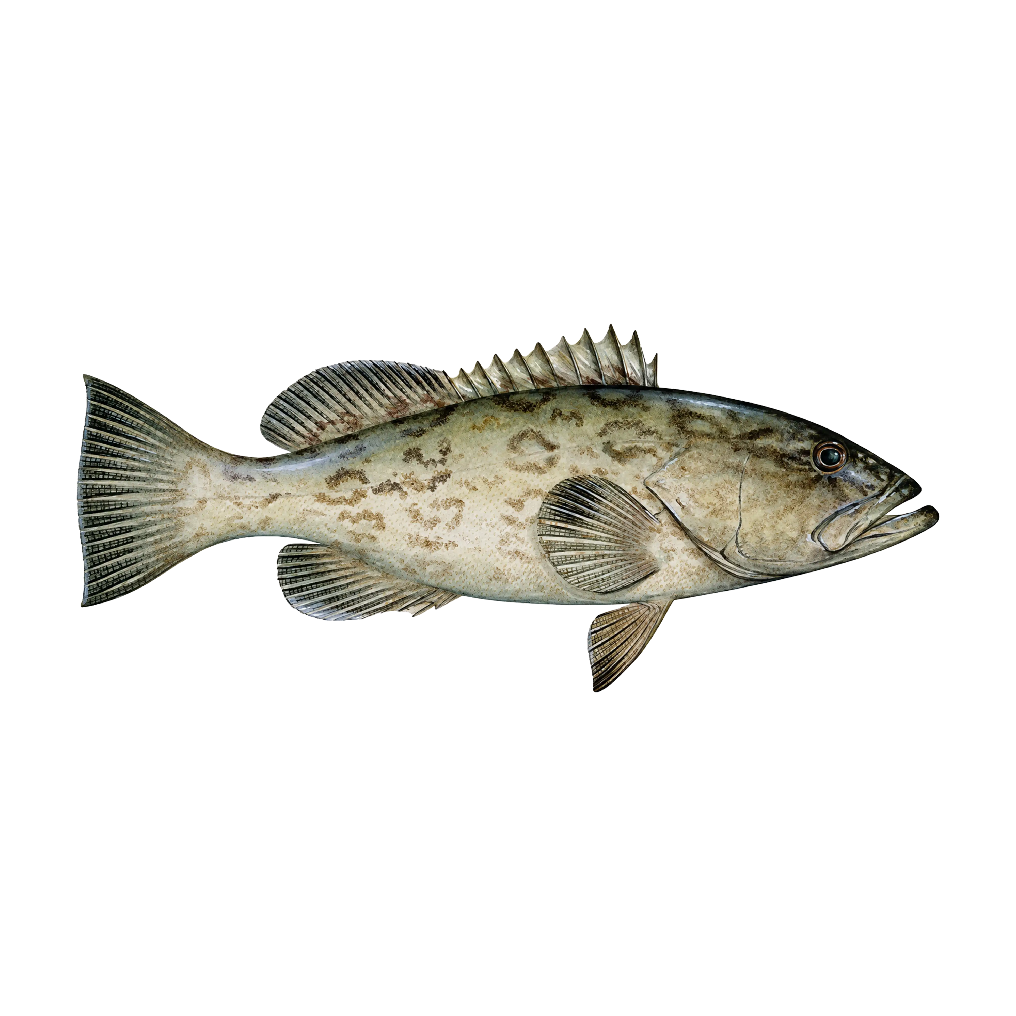 Mud Hole Game Fish Rod Decals