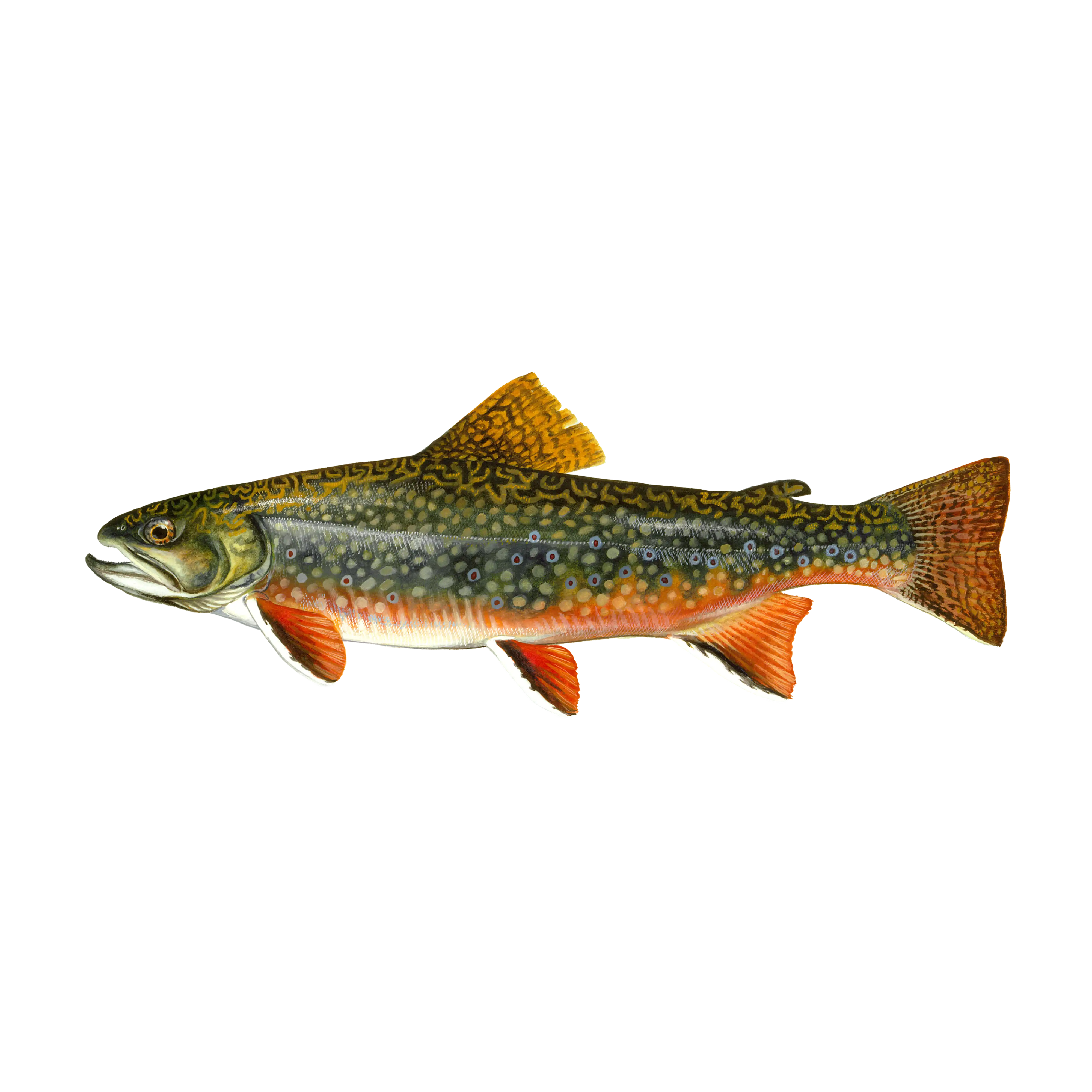 Mud Hole Game Fish Rod Decals